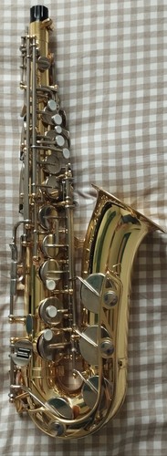 Yamaha yas21 alto sax - alto, purple